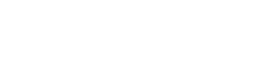 Company Logo 2